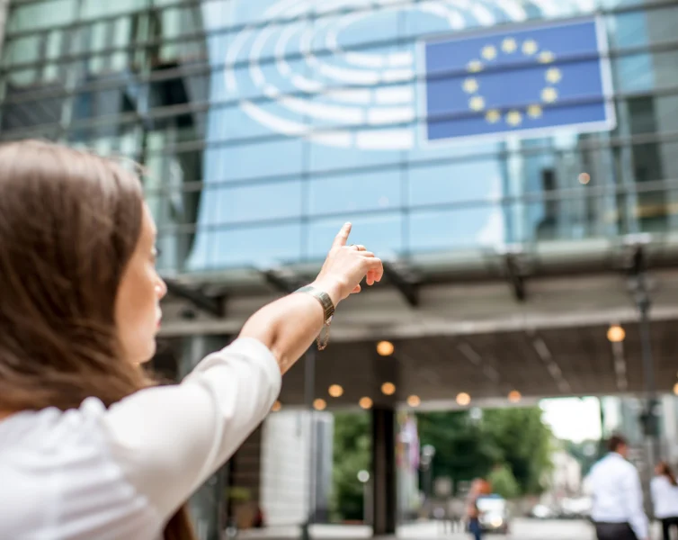 woman-pointing-on-the-european-flag-2026-01-09-10-42-45-utc